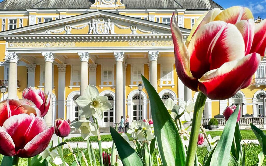 Paket Rogaška Relax pomlad