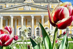 Paket Rogaška Relax pomlad